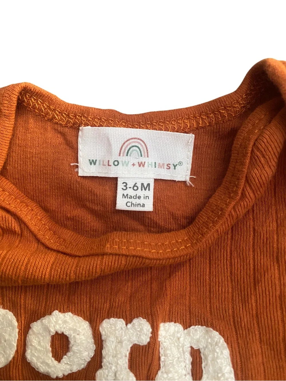 Willow + Whimsey wild pumpkin front